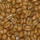 Specialty Malt - Torrified Wheat 500g